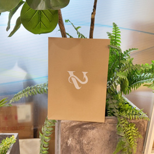 Sacs d'expédition en papier kraft brun recyclé personnalisés avec logo de marque 24*5*34cm, emballages pour vêtements, sacs postaux en papier pour petites entreprises - Product Image 2
