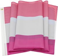 Drapeau de la fierté Genderfluid 3x5 FT, bannière imprimée arc-en-ciel LGBT, Gay, Lesbienne, Paix, avec œillets, en polyester, style drapeau volant, nouveauté