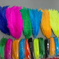 45 50 cm Vente en gros Costume de carnaval Décoration Nandu Plume d'autruche