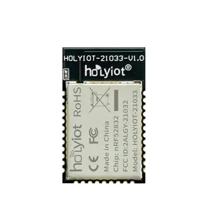 Holyiot BLE 5.3スマートゲーム用低エネルギー医療用ウェアラブルフィットネスIOTモジュールブルートゥース北欧nRF52832モジュール