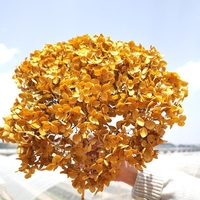 Fleur d'hortensia préservée véritable Arrangement de fleurs séchées conservées naturelles Mini Bouquet cadeaux de mariage en vrac uniques pour les invités