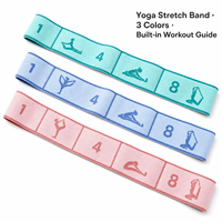 Sangle de Yoga Portable en Gros, Bande de Résistance en Polyamide et Latex Haute Élasticité et Durable 4x99cm, Tension Numérique, Logo Personnalisé