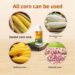 Fertilizante especial para mazorcas de maíz, evitando hojas amarillas y alojamiento; Fertilizante líquido de maíz dorado - Product Image 4