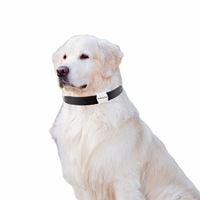 Traceur GPS intelligent pour animaux de compagnie, rechargeable 240 mAh, anti-perte, pour chiens et chats, chargement USB 3.0, compatible Android et iOS