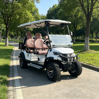 Voiturette de golf électrique Americas Choice 72V avec teinte personnalisable et solutions de rangement supplémentaires polyvalentes pour la maison