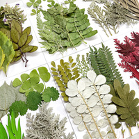 Feuilles Séchées et Pressées Réelles, Lot Mixte de 15 Pièces pour Décoration de Cadres Photo et Fournitures d'Artisanat DIY à Domicile
