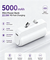 Batería Externa Portátil Ultra Delgada de Polímero de Litio de Alta Capacidad con Pantalla LED y Conector de Carga Mini Personalizado, Entrada/Salida de CC de 20W
