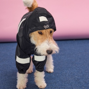 Impermeable Reflectante de Invierno para Perros, Chaqueta de Nylon con Cuello Alto y Cierre para Razas Grandes, Greyhound, <span class=keywords><strong>Boxer</strong></span>, Tallas 5XL y 6XL - Product Image 4