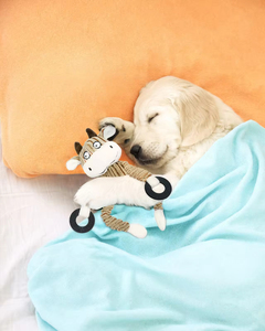 Juguete de Peluche de Mono para Perros, para Entrenamiento Dental, con Sonido, para Masticar y Jugar Interactivo - Product Image 5