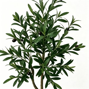 olive <b>tree</b> Artificial olive <b>tree</b>, artificial oil olive <b>tree</b>, bionic olive <b>tree</b>, artificial oil olive <b>potted</b> plant - Product Image 6