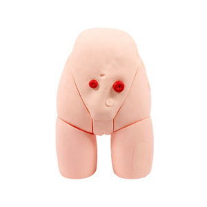 Modè<span class=keywords><strong>le</strong></span> d'enseignement de cathétérisme féminin en PVC DARHMMY pour les sciences médicales pour <span class=keywords><strong>la</strong></span> formation aux compétences infirmières <span class=keywords><strong>dans</strong></span> les écoles et les hôpitaux - Product Image 1