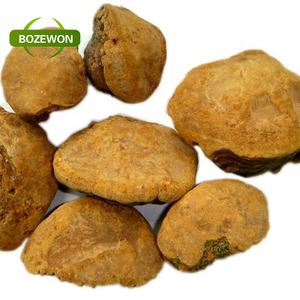 Per uso alimentare estratto di fungo <span class=keywords><strong>Sang-Hwang</strong></span> miglioramento dell'immunità Phellinus Igniarius in polvere confezionato in tamburo - Product Image 2