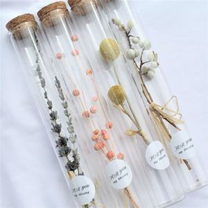 Mini bouteilles <span class=keywords><strong>de</strong></span> souhait pour la fête des mères, Rose éternelle, Bouquet <span class=keywords><strong>de</strong></span> fleurs <span class=keywords><strong>séchées</strong></span>, Tube en verre, vente en gros - Product Image 3