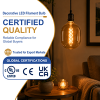 Ampoule LED à filament surdimensionnée DG170 de haute qualité, 7W, E26 E27, 2200K, verre ambré, dimmable, lampe Edison vintage pour hôtel, restaurant