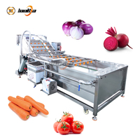 Groente- en fruitwasmachine, wortelen, tomaten, uien, bieten, bubbelwasser, wortel- en groentewasmachine