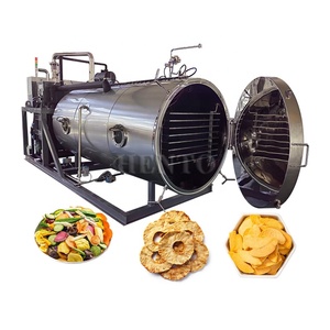 Máquina de Liofilización de Alimentos de Alta Calidad / Máquina de Liofilización de Frutas / Liofilizador al Vacío - Product Image 3