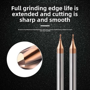 Fraise à double dent professionnelle robuste 0,2-0,9 mm pour usinage en pente, personnalisable OEM pour métaux - Product Image 4