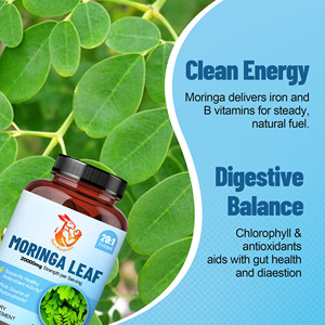 Customized Service Moringa Leaf Supports Healthy Antioxidant Activity with Moringa 20:1 Extract <b>Herbal</b> <b>Supplement</b> Vegan Capsules - Product Image 3