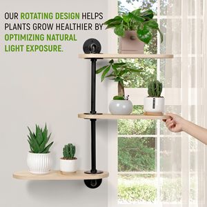 Fenêtre rotative Étagères pour plantes Étagère de fenêtre en bois pour plantes Étagère en bois à 3 niveaux Porte-<span class=keywords><strong>plante</strong></span> <span class=keywords><strong>mural</strong></span> Exposition optimale à la lumière intérieure - Product Image 4