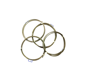 블루키 소형 스테인리스 스틸 와이어 로프 7*7 3 기타 유형 온실 자재 시스템 액세서리 고급 스틸 케이블 커튼 제작 - Product Image 5