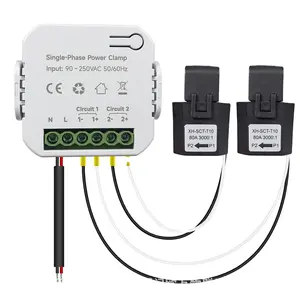 Tuya cuộc sống thông minh Wifi năng lượng mét 80A với 2 kẹp CT ứng dụng kWh