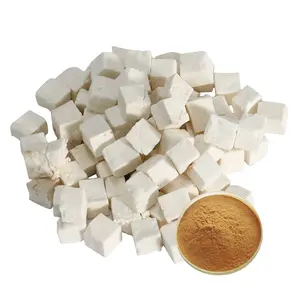 Wholesale Natural Poria Cocos Extract Powder Tuckahoe Extract