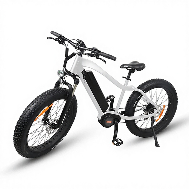Electric Bike High Speed Best Quality Mountain E-bike 48V 1000W Bafang Centre Motor