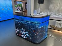 Pantalla LED Interior Personalizada Qray Qray-X P2.5, Pantalla Flexible Elíptica para Cabina de DJ, Mostrador, Centro Comercial, Resistente al Agua IP65