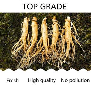 خصم محدود الأكثر مبيعًا شاي الجينسنج الطبيعي معزز الطاقة للبالغين مضاد للأكسدة سائل فموي مكملات عشبية للنساء الحوامل - Product Image 4