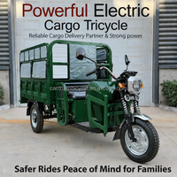 Tricycle de livraison électrique motorisé à 3 roues, châssis en acier, carrosserie ouverte, capacité de charge de 400 kg, vitesse de 30-50 km/h, vente directe d'usine