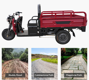 รถสามล้อคุณภาพสูงสำหรับขาย - Product Image 4