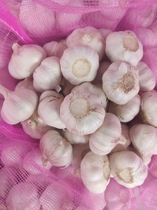 Giá tỏi tươi tự nhiên Trung Quốc/Trung Quốc - Mùa vụ mới, bán chạy - Product Image 5