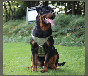 전술용 대형견 하네스, 헤비듀티 옥스포드 천 조끼, 조절 및 연장 가능한 리드줄, 다기능 야외 훈련용 가슴줄 - Product Image 6