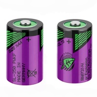 Programador de Etiquetas Electrónicas Original SL-350 3.6V 1/2AA con Sonda, Batería de Litio para PLC Delta
