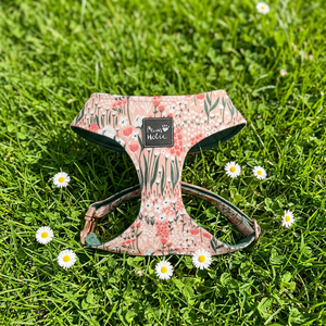 Fashion Comfortable Cotton Cat Harness Cotton <b>Dog</b> Harness Elegant Personalized Style Buckle Closure for Large <b>Dogs</b> Wholesale - Product Image 1