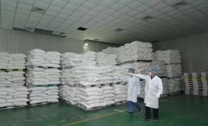 Floculante de polímero aniónico/catiónico personalizado directo de fábrica 5 minutos de sedimentación para relaves mineros y aguas residuales aceitosas - Product Image 6