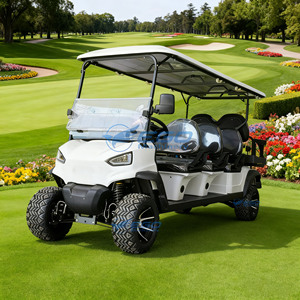 Voiturette de golf électrique chinoise abordable 2, 4, 6 ou 8 places à vendre – Voiturettes de golf électriques personnalisées confortables 8 places - Product Image 1