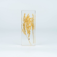 Artisanat en résine, spécimens botaniques en résine, graines de plantes en résine, artisanat en résine, spécimens scientifiques et pédagogiques, ornements en cristal, phytologie, riz séché