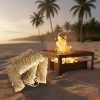 Allume-feu en cire de paraffine parfaite avec des caractéristiques portables et coupe-vent pour les accessoires de cuisine en plein air, barbecue, grillades