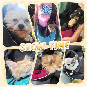 Muestra Gratuita, Bolsa de Transporte Personalizada para Mascotas, Bolsa de Viaje para Perros y Cachorros, Bolsa de Transporte para Mascotas, Bandolera para Exteriores - Product Image 6