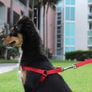 ARNÉS DE PASO PARA PERRO AJUSTABLE FUERTE PRESIÓN GRATIS CÓMODO DECENTE Rojo M - Product Image 2