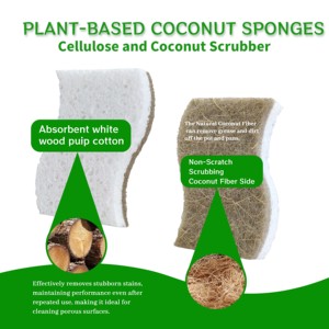 12 PACK Biologisch abbaubare natürliche Gerichte Küchen schwämme Kompost ierbarer pflanzlicher Cellulose-Kokosnuss-Walnuss-Wäscher-Schwamm - Product Image 3