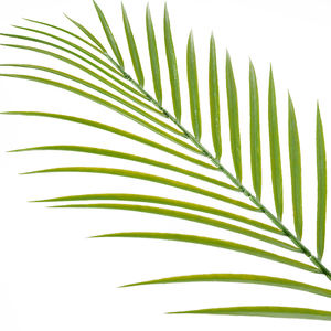 Palmiers tropicaux artificiels d'intérieur et d'extérieur en plastique pour la décoration de bureaux à domicile et de cafés Vente en gros livraison rapide - Product Image 6