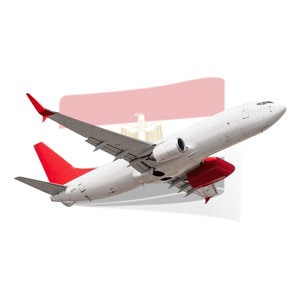 Service de logistique de fret aérien abordable. Prix du service de logistique d'agence basé en Chine pour le transport aérien - Product Image 1