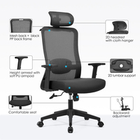 NOEL Chaise de bureau ergonomique à dossier haut avec support lombaire 2D, Nouvelle version 2026, Chaise de bureau, Mobilier de bureau, Silla Oficina