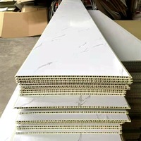 Panneau SPC en nid d'abeille pour les murs intérieurs, les plafonds et les murs de salle de bain des hôtels - Panneaux de plafond et de mur en plastique imperméables, design moderne