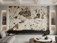 Quartzite Naturel Translucide Pandora Patagonia pour Mur de Fond Rétroéclairé, Îlot de Cuisine, Plan de Travail, Table, Sol, Escalier