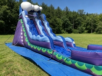 Toboggans aquatiques gonflables commerciaux en PVC de grande taille pour l'extérieur, toboggan aquatique gonflable avec piscine pour adultes