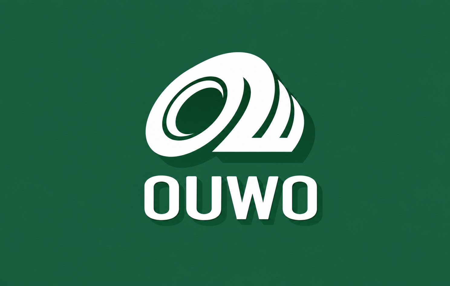 Shandong Ouwo CNC Equipment Co., Ltd. logo