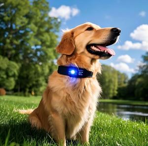 Traceur GPS intelligent pour animaux de compagnie OEM ODM avec surveillance de la santé, localisation en temps réel 4G WiFi, collier étanche anti-perte avec clôture virtuelle - Product Image 3